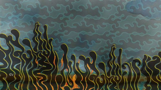 Incendios en el humedal: el desafío de la transmisión educativa