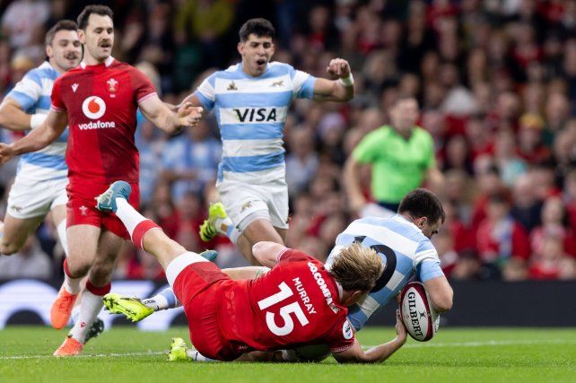 Los Pumas tuvieron una gran temporada 2025.