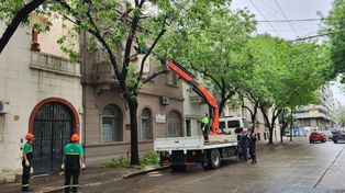Las cuadrillas, trabajando esta mañana en el arbolado de Mendoza al 2200.