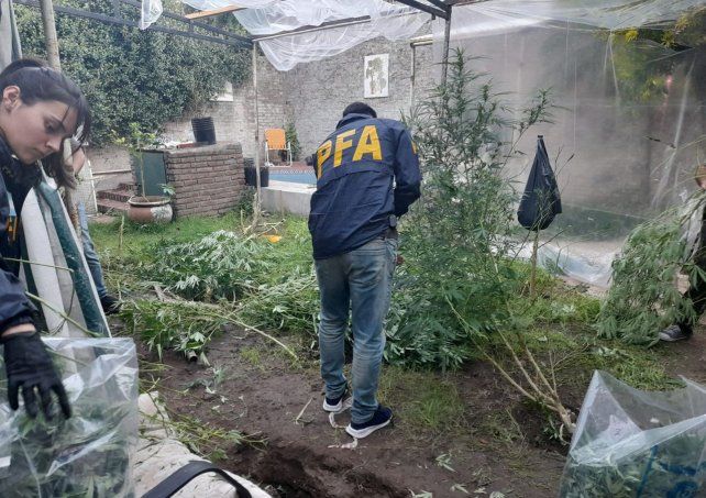 Personal de la Policía Federal en la vivienda de Pasco al 100