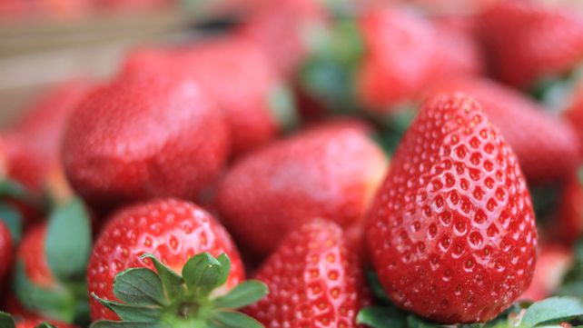 Aparecieron las primeras frutillas a casi 300 pesos el kilo