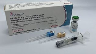 La vacuna del dengue será para ciertos grupos