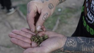 Baja la edad de inicio del consumo de sustancias en los adolescentes