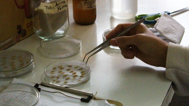 Histórico: Venado Tuerto tendrá una sede de la carrera de agronomía de la Universidad Nacional de Rosario
