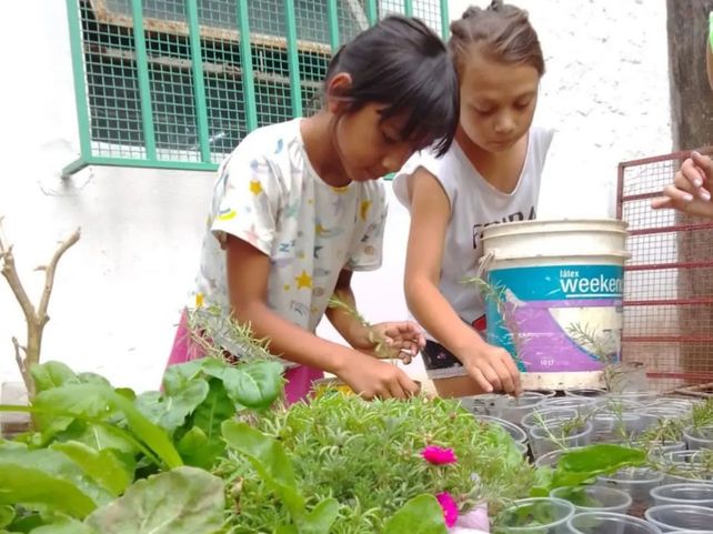 Patios de paz, una respuesta de la escuela a la violencia social