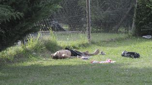 Un joven mató a uno de los dos ladrones que asaltaron a su familia en Pueblo Esther