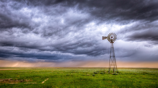 Las lluvias trajeron un poco de alivio al campo&nbsp;