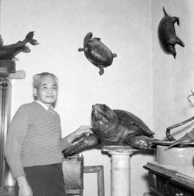 El enigmático doctor Miyamoto.