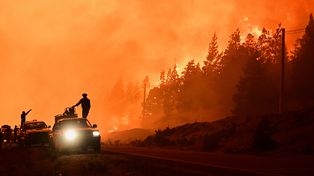 Incendios forestales: ¿qué hizo Santa Fe para colaborar en Chubut?