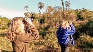 El Parque Nacional El Palmar informó nuevas tarifas