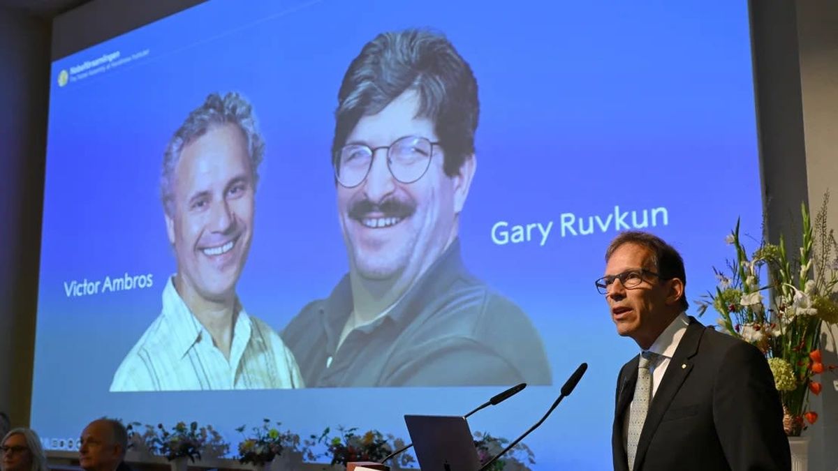 Premio Nobel De Medicina Para Los Descubridores De Las Moléculas De ...