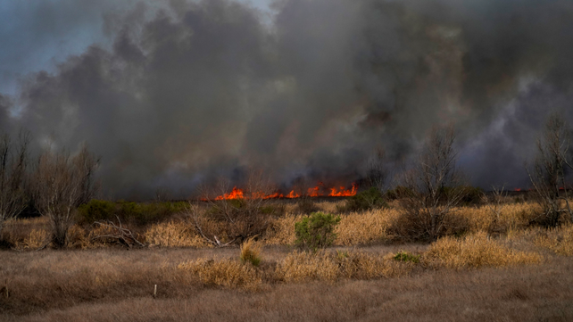 El panorama en el humedal es de territorio arrasado: el fuego intencional consumió 800.000 hectáreas en dos años y medio.