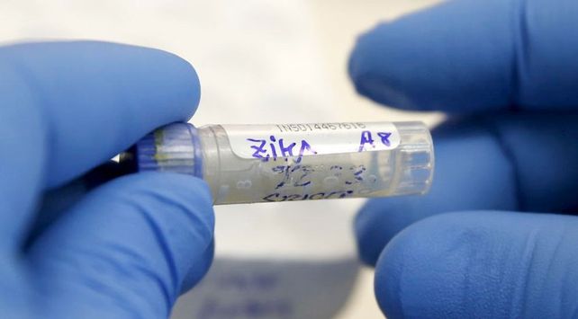 Vacuna. El zika desató una ola de preocupación al descubrirse su vinculación con la microcefalia