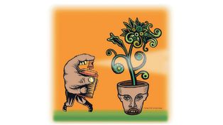 Reflexiones sobre fumigaciones, educación y ambiente