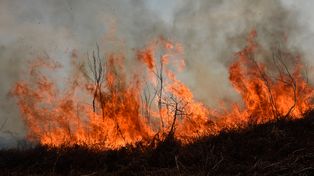 Argentina sube entre los países más afectados por los incendios