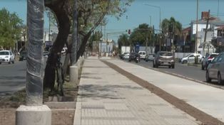 Avanza la remodelación de la avenida Aristóbulo del Valle: la obra alcanza un 35% de ejecución