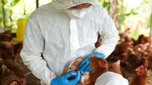 Confirmaron una muerte por gripe A en Rosario