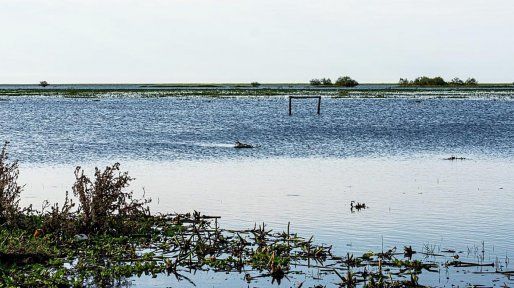 El río Paraná sigue en ascenso en Entre Ríos, pero las marcas se mantienen debajo de las alertas