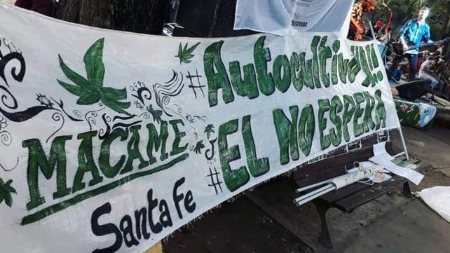 La Corte dictaminó que habrá control estatal para autocultivo de cannabis para uso medicinal