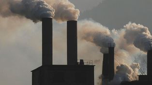 Cambio climático: piden que Trump se sume a la lucha