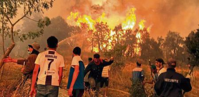 Los incendios forestales asedian a Argel