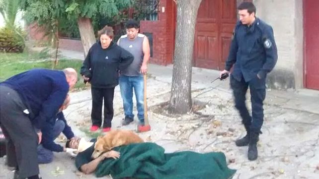Tony, el perro que abrazó a su dueño tras un accidente