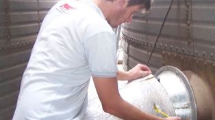 Los secretos de la poscosecha: pautas de manejo para preservar la calidad de los granos