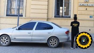 Investigan el robo de vacas y novillos en un campo de La Paz