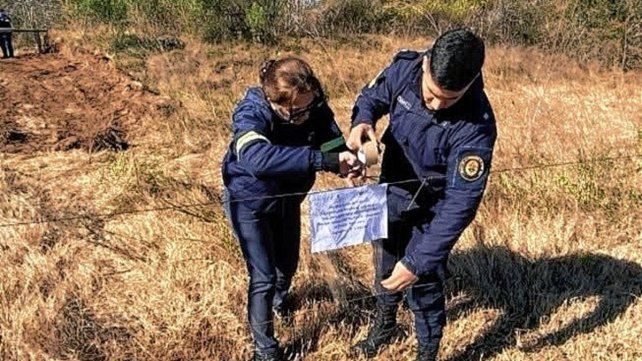 El Municipio de Concepción del Uruguay denunció ante la Justicia daños ambientales en Paso Vera Norte.