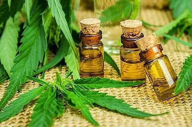 Madres presentaron un amparo colectivo para el autocultivo de cannabis