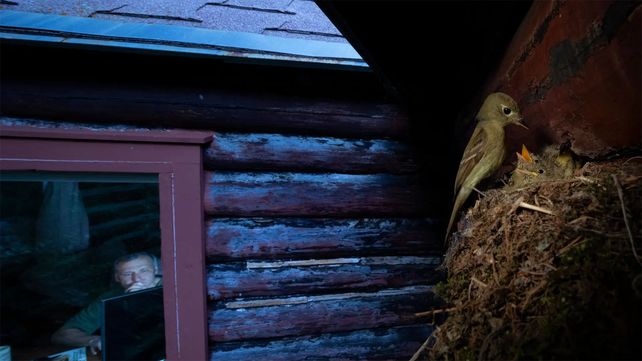 Imágenes que reflejan la maravillosa vida silvestre