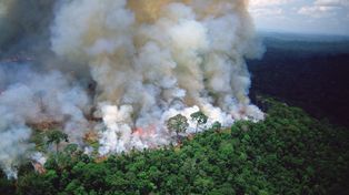 Los fuegos amazónicos amenazan los glaciares tropicales andinos