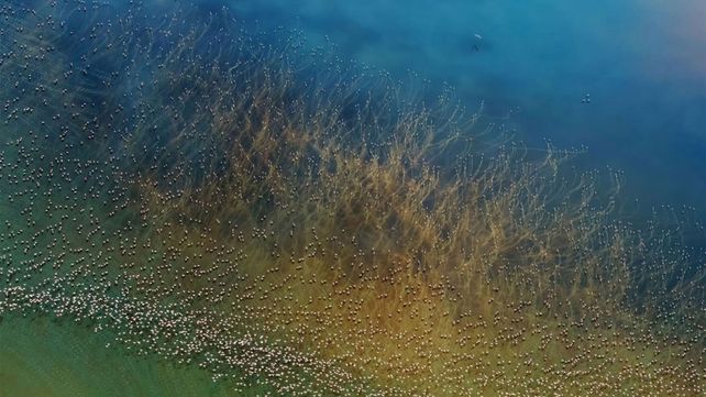 Las imágenes ganadoras del concurso de fotografía de viaje 2018 de National Geographic