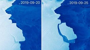 El iceberg más grande de los últimos 50 años se separa de Antártida