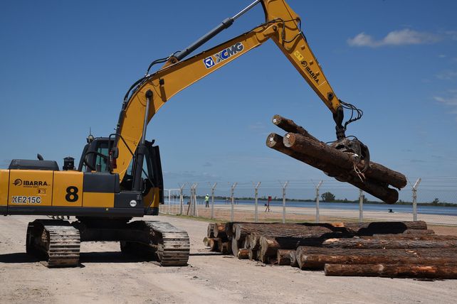 Anuncian que durante 2019 saldrán más de 12 buques con madera desde el Puerto Ibicuy