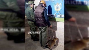 Corrientes: ni el carpincho se salvó del paredón