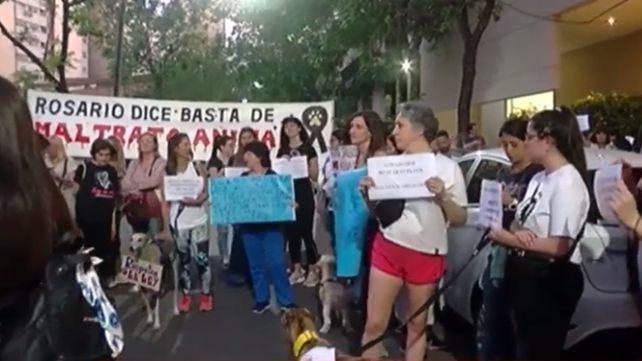 Insisten con el reclamo de justicia por los galgos rescatados de las carreras ilegales
