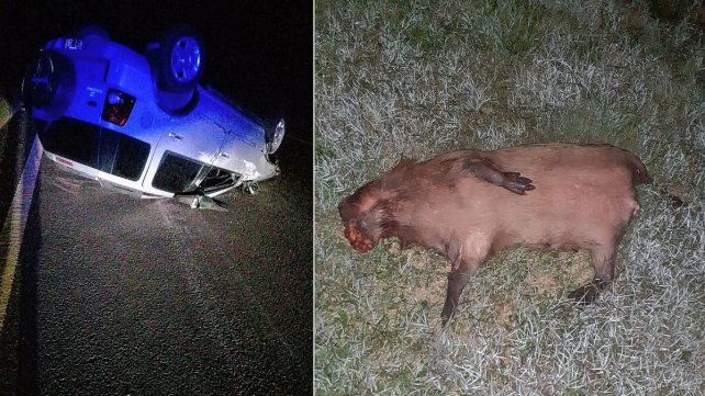 Camioneta volcó tras chocar un carpincho en la autovía 18