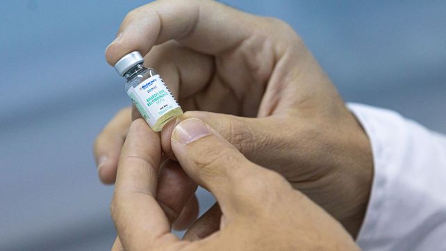 El Senasa aprobó una vacuna contra la rabia animal elaborada por Conicet UNL