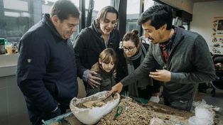 Un niño marplatense fue distinguido como Protector del Patrimonio Paleontológico