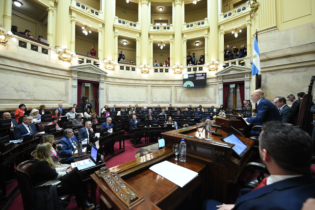 El Senado busca rechazar el veto de los ATN.