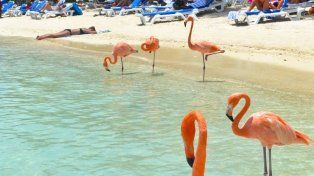 El Caribe y Brasil son los destinos más elegidos por los paranaenses que piensan viajar este verano