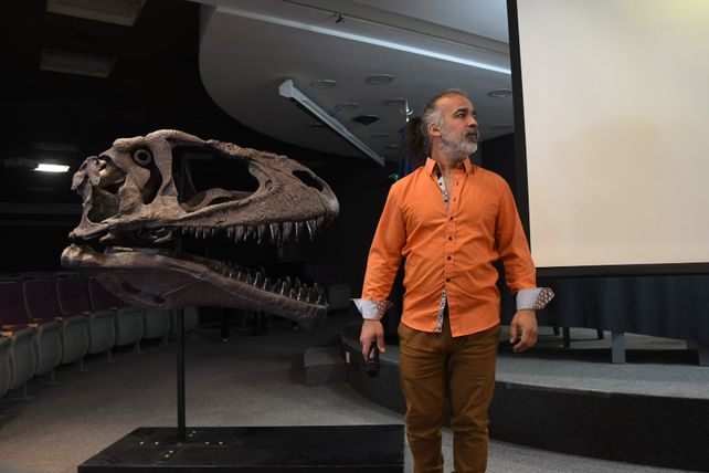 Presentaron en Neuquén el esqueleto hallado de un gran devorador de dinosaurios
