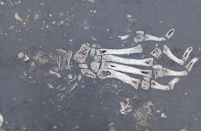 Las fotos tomadas por las asistentes escolares de Calchaquí