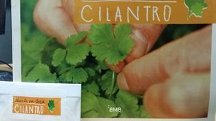 Llevate este viernes la Huerta en Casa