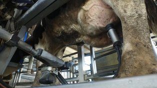 Desde este jueves y hasta el 17 de febrero, la Secretaría de Agricultura y Ganadería de la provincia recepcionará declaraciones juradas digitales de productores agropecuarios afectados por la sequía, a partir de la declaración del estado de Emergencia Agropecuaria que regirá hasta el 30 de junio de 2023.