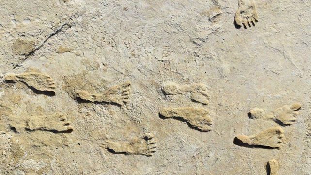 Huellas humanas de 23.000 años revelan la nueva historia de América del Norte