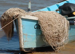 Las vigencias de las licencias de caza y pesca