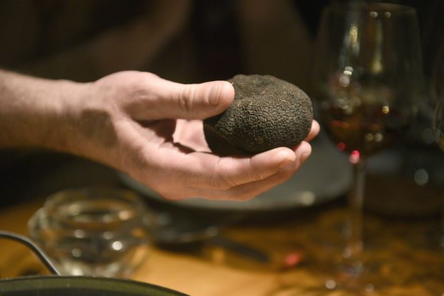 No es fácil transmitir el gusto de la trufa