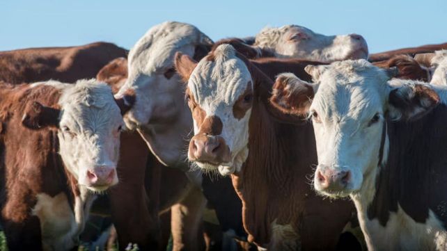 Breves de la agenda agropecuaria